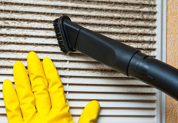 Best Ductwork Cleaning Services  in Eloy, AZ